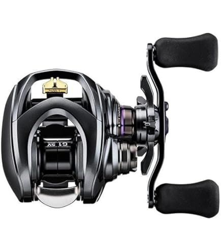 Amazon.com : Daiwa Steez CT SV TW 700H 6.3:1 Right Hand