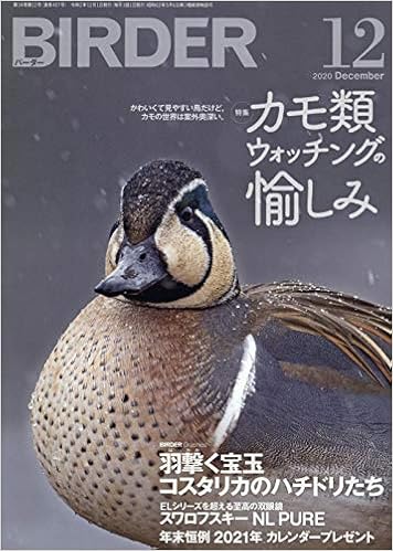 Birder バーダー 年12月号 カモ類ウォッチングの愉しみ Birder編集部 本 通販 Amazon