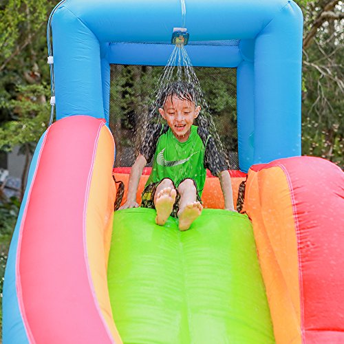 2 Doctor+Dolphin+Inflatable+Bounce+Outdoor