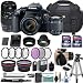 Canon EOS Rebel T7i 24.2 MP DSLR Camera with Canon EF-S 18-55mm f/4-5.6 is STM Lens + Tamron 70-300mm f/4-5.6 Di LD Lens + 2 Memory Cards + 2 Aux Lenses + 50" Tripod + Accessories Bundle (24 Items) primary