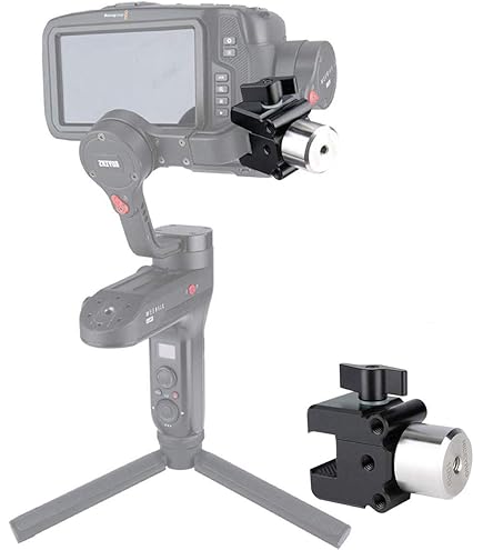 Amazon.com : DJI R Roll Axis Counterweight Set : Electronics