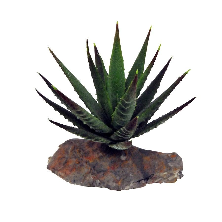 Lucky Reptile Echeveria Artificial Plant on Stone Base