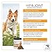 Advanced Hip and Joint Supplement for Dogs- Daily Hip-Jo's by iDash Pets- Best Glucosamine for Dogs, Chondroitin, Turmeric, MSM for Dogs- Hip Dysplasia, Dog Arthritis Pain Relief - 130 Soft Chews