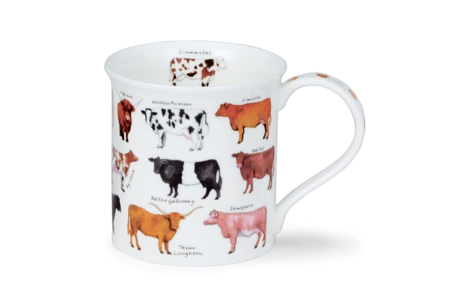 Dunoon Fine Bone China Bute Shape Animal Breeds Mug - Made in England (Cows)