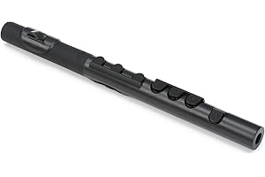 NUVO Recorder (N430TBBK)