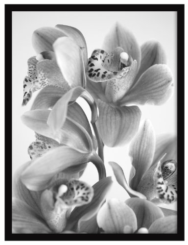 MCS 18x24 Inch Vernon Gallery Poster Frame, Black (47369)