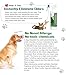 Dr.Silver Deodorizer Spray for Dog and Cat Odor Eliminator, Special Formula Developed for Pet Urine Odor, Carpet, Skunk and Other Surfaces Odor Removes, Non-Toxic & Safety for Pets (Toscana Aroma)