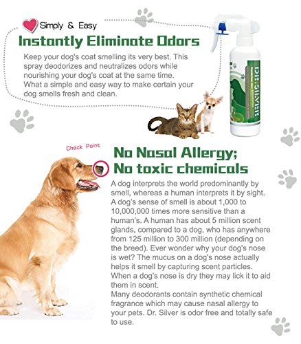 Dr.Silver Deodorizer Spray for Pets Odor Eliminator, Silver-Ions & Photocatalyst Formula for Pet’s Urine, Skin, Carpet, Skunk Odor Removes, No Bathing Required, Safety & Friendly, Toscana Aroma
