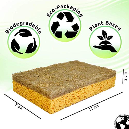 Natural Sponge 10 Pack Eco Friendly Kitchen Sponge for Sustainable