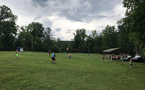 OrgMemory-Playground-Ball-Kickball-85-inch-4-pcs-2-Each-of-Rainbow-Ball-Blue-Handball-for-Kids-and-Adults-Dodge-Ball-with-Pump