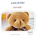 HAPTIME Bulk Teddy Bears, Small Teddy Bear with Keychain, Mini Stuffed Teddy Bear 1 Dozen, Tiny Soft Plush Toy for Wedding Decorations, Party Favors, Baby Shower, Stocking Stuffers (4 Colors / 12pcs)
