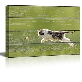 Canvas Wall Art - Cat Chasing a Butterfly on Vintage Wood Textured Background - Rustic Country Style Modern Giclee Print Gallery Wrap Home Art Ready to Hang - 12" x 18"