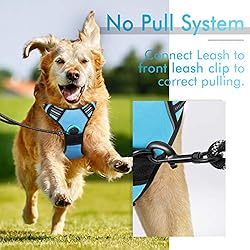 rabbitgoo Dog Harness, No-Pull Pet Harness with 2