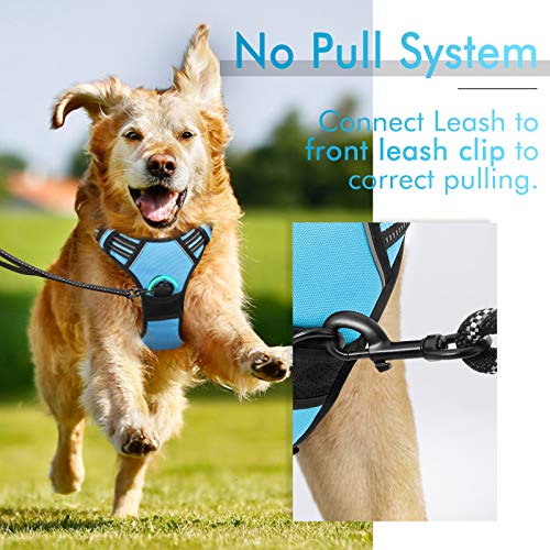 rabbitgoo Dog Harness, NoPull Pet Harness with 2 Leash Clips
