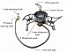 Avinee Camping Stove,Ultralight Portable Collapsible Windproof Outdoor Backpacking Gas Camp Stove,Mini Camping Cookware for Cookout, Picnic, Camping, Hiking