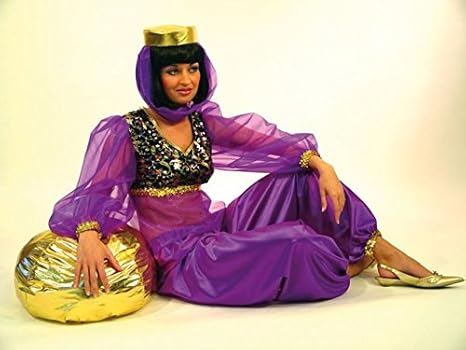 Panelize Haremsdame Suleika Salome Bauchtänzerin 42/44 Karneval Fasching Kostüm