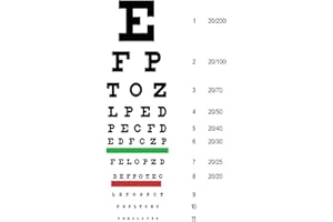 Snellen Eye Chart Planner: Weekly Planner for Optometrists, Ophthalmologists, or Opticians