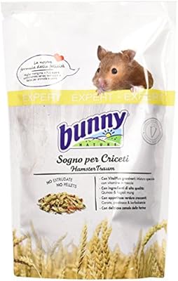 bunny nature hamster dream