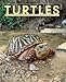 Turtles by Carl J. Franklin