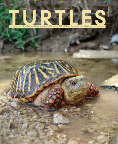 Turtles by Carl J. Franklin