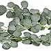 SUPLA 6.6' Long Artificial Eucalyptus Leave Greenery Garland Faux Silver Dollar Eucalyptus Plant Silk Hanging Fake Eucalyptus Twig Vine Garland for Wedding Baby Shower Holiday Jungle Greenery Decor