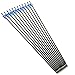 YONNEY Fiberglass Arrows 30-Inch Glass Fiber Arrows for Practice Hunting Outdoor (Pack of 12) for Traditional Recurve Bow ＆ Composite Bow Hunting Bow - Blue