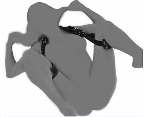 Erining qiz dosti va xotinini sikayotgani videosi Porno yulduz Gina B filmografiyasi