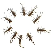 PA Lures Brown Soft Plastic Stonefly 20 Pack, Pink