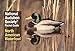 National Audubon Society Pocket Guide: North American Waterfowl (National Audubon Society Pocket Gui by