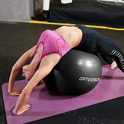 3 arteesol+Exercise+Stability+Professional+Resistant