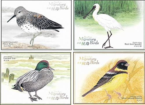 Aranyak Hobby Hong Kong Migratory Birds Set of 4 Rare Post Cards 1997 for Stamps Collection