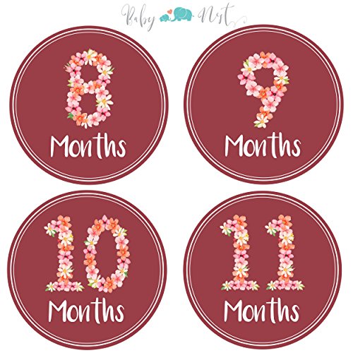 Monthly Milestone Stickers by Baby Nest - Delicate & Luxurious Flower Bouquet for Newborns & Up, Celebrate 0-12 Months First Year Achievements | Perfect Shower Gift (16 Pack)
