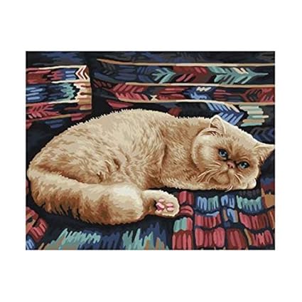 Ykcksd Diy Malen Nach Zahlen Düstere Katze Diy Malen Nach