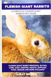 flemish giant rabbit cost