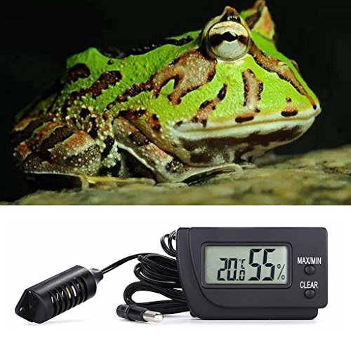 1 OTGO+Thermometer+Hygrometer+Tortoise+Breeding
