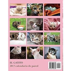 El Gatito 2017 Calendario de Pared (Edicion Espana) (Spanish Edition)