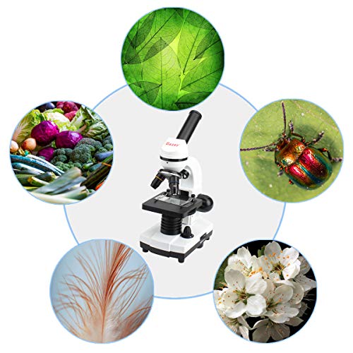 GazerOptics Science Microscope Kit for Kids Students with Prepared Specimen Slides and Smartphone Adapter, 40x-1280x Magnification - A Real Scientific Tool for STEM Learning