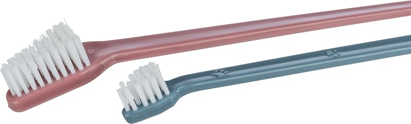 , Set di Quattro spazzolini da Denti per Cane