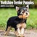2020 Yorkshire Terrier Puppies Calendar 16 Month 12 x 12 Wall Calendar by Bright Day Calendars (Yorkshire Terrier Puppies 2019)