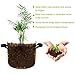 LEHOUR Potato Grow Bags, Planter Bag 7 Gallon, Garden Bags for Vegetable, Fabric Planting Pots with Handles, Potato Planter Bag with Access Flap, Breathable Nonwoven Growing Gags, 3 Pack Light Brownthumb 4