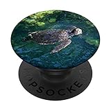 Turtle in Pond PopSockets PopGrip: Swappable Grip