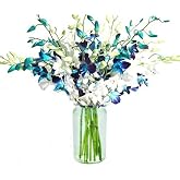eflowerwholesale - 20 Blue and White Orchids with Vase