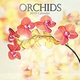 2019 Wall Calendar - Orchids Calendar, 12 x 12 Inch Monthly View, 16-Month, Blooms and Flowers Theme, Includes 180 Reminder Stickers