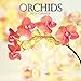 2019 Wall Calendar - Orchids Calendar, 12 x 12 Inch Monthly View, 16-Month, Blooms and Flowers Theme, Includes 180 Reminder Stickers