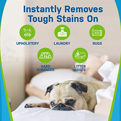 Pet Stain And Odor Remover Powerful Enzyme Urine Eliminator Cleaner