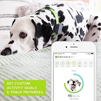 Whistler dog collar Clearance