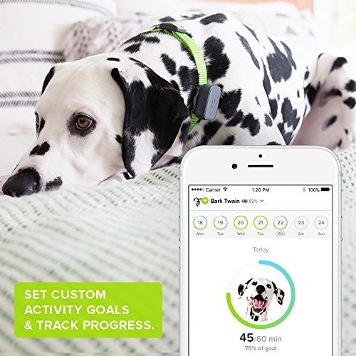 5 Whistle+GPS+Tracker+Activity+Monitor