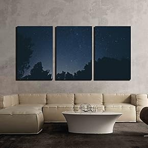3 Piece Canvas Wall Art - Beautiful Scenery with Trees Under The Starry Sky - Modern Home Art Stretched and Framed Ready to Hang - 16"x24"x3 Panels