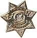 The Walking Dead King County Sheriff Metal Badge