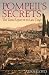 Pompeii's Secrets: The Taras Report on Its Last Days by Alan Lloyd